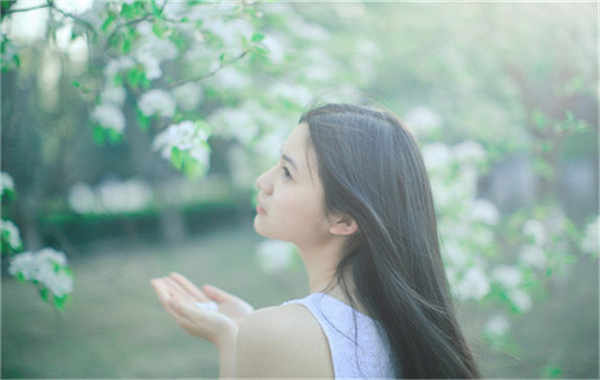 景东验血查男女几周可以验(验血查男女结果图)